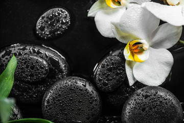 top view of spa setting of white orchid (phalaenopsis) and black zen stones with drops in water