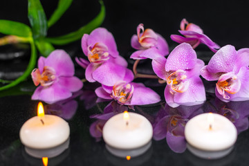 Obraz na płótnie Canvas spa composition of purple orchid (phalaenopsis), candles, green leaves and black zen stones with drops on water with reflection