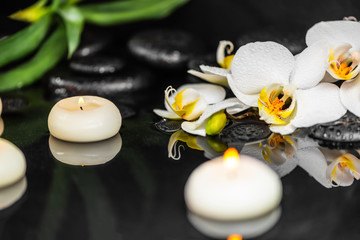 spa composition of white orchid (phalaenopsis), candles and black zen stones with drops on water with reflection