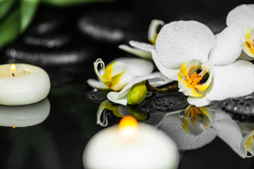 spa still life of white orchid (phalaenopsis), candles and black zen stones with drops on water with reflection