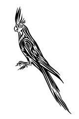 Hand drawn corella parrot outline sketch. Vector bird black ink drawing isolated on white background. Graphic animal illustration