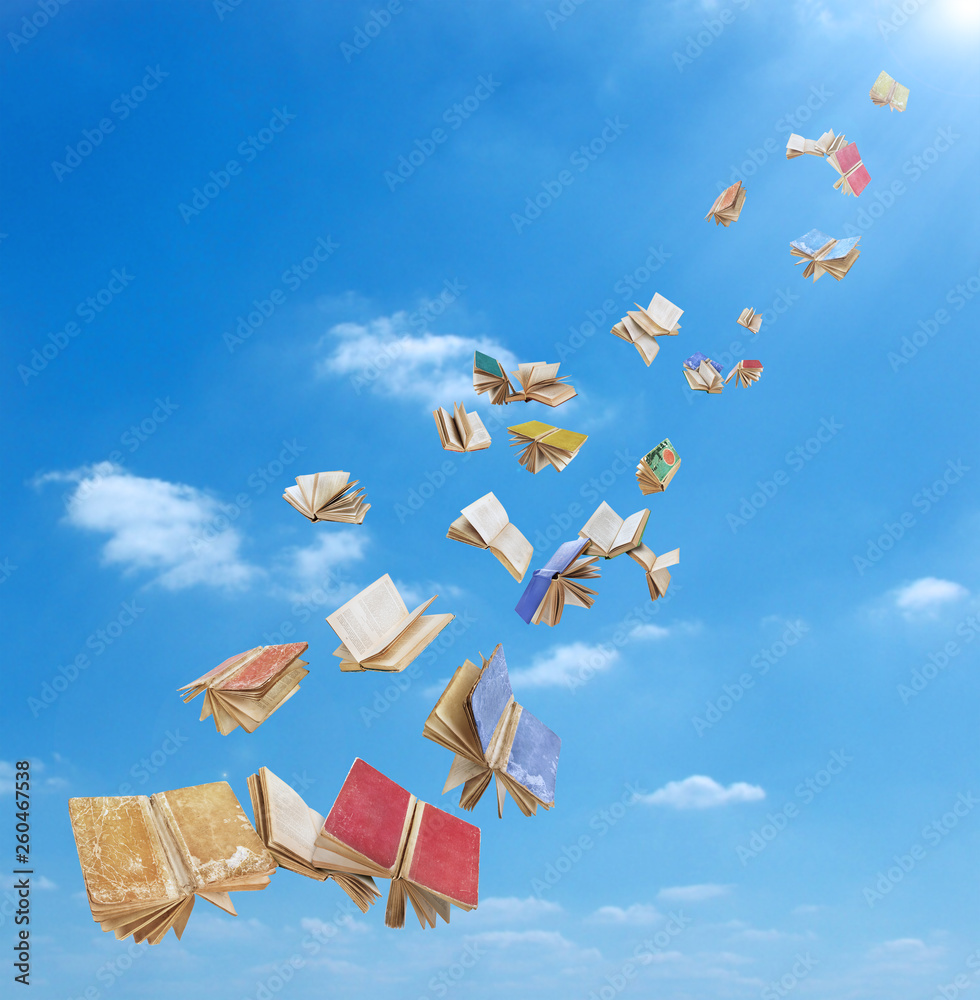 Wall mural A flock of books is flying on a sky background