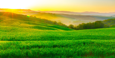 Fototapeta na wymiar Stunning Landscape in Tuscany, Italy. 