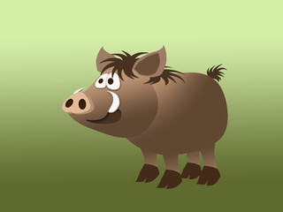 Boar (pig) - animal of the year!