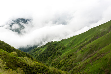 Fototapeta na wymiar Dangerous mountain pass Abano (2926 m) in Georgia, Tusheti on the morning mist.