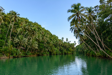 Fototapeta na wymiar Loboc river on Bohol island, Philippines