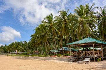 Sandy beach with palm trees in El Nido, Palawan, Philippines. Tropical beach on an island in Asia.	