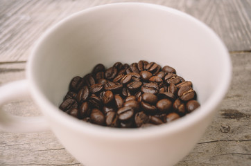 roasted arabica coffee beans