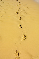 Fototapeta na wymiar Footprints on the sand of the sea beach