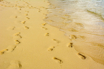 Foot prints on the sand of the sea beach