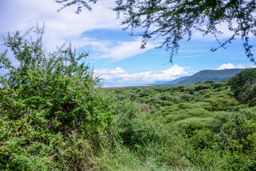 Fototapeta na wymiar Landscape in Tanzania