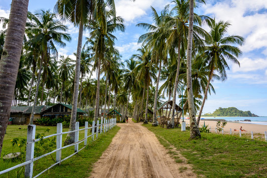 Road to the beach. Tropical resort El Nido Palawan, Philippines