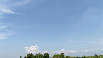 green grass and blue sky