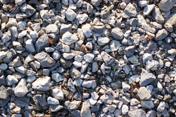 Granite gravel texture