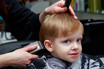 The little boy in the barber shop