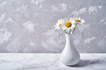 White vase with beautiful chamomile (daisy) flowers isolated on plaster grey wall background, copy space. Home decor