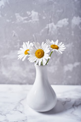 White vase with beautiful chamomile (daisy) flowers isolated on plaster grey wall background, copy space. Home decor