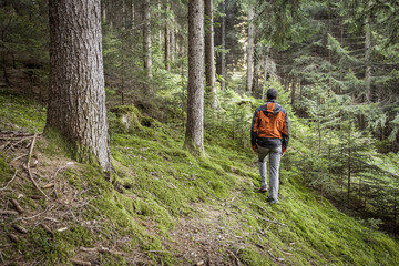 Obraz premium A trekker walking solo among the forest in a cloudy day