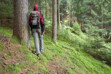 A trekker walking solo  among the forest in a cloudy day