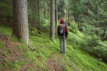 A trekker walking solo  among the forest in a cloudy day