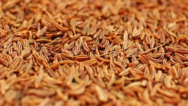 Seeds of cumin close up