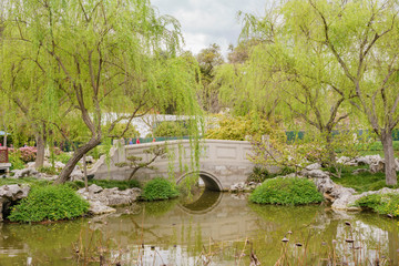 Fototapeta na wymiar The beautiful Chinese Garden of Huntington Library