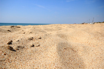 sand on the beach