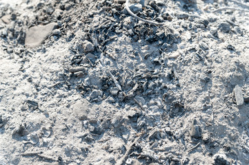 Gray ash from the fire. Background texture of wood ash.