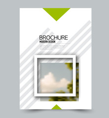 Flyer design template. Brochure layout. Green color. Vector illustration.