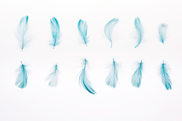 set of blue soft feathers isolated on white