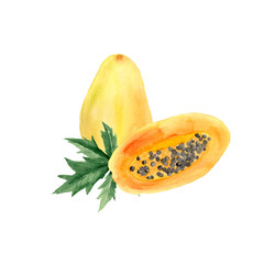  watercolor set with papaya, papaya piece, papaya leaves
