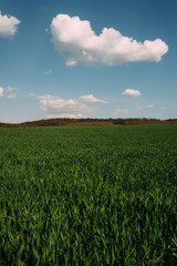 sunny green field with hills