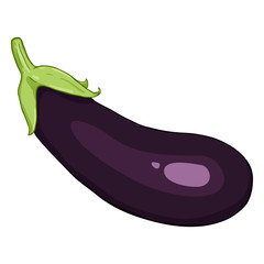 Vector Cartoon Eggplant