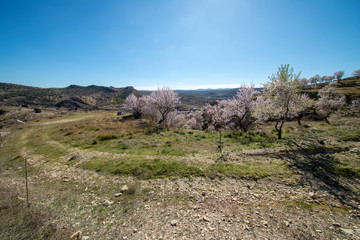 Path through the mountain next to the town of Morella