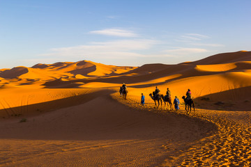 Fototapeta na wymiar Camel Riding Caravan along sand dunes at the sunset time in the Sahara Desert, Morocco