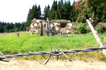 Fototapeta na wymiar Closeup of barbed wire in former communism iron curtain in Bucina, National Park Sumava in the Czech Republic. Memory of deadly barrier on frontier crossing with Germany.