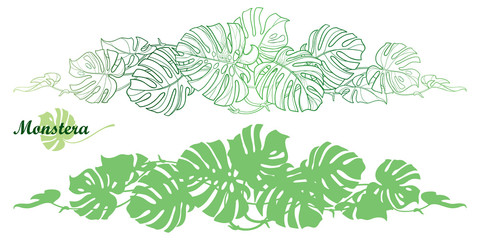 Set with outline tropical Monstera or Swiss cheese plant leaf bunch in pastel green isolated on white background.  © bokasana
