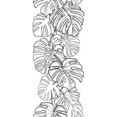 Seamless pattern with outline tropical leaves of Monstera or Swiss cheese plant in black on the white background. - obrazy, fototapety, plakaty