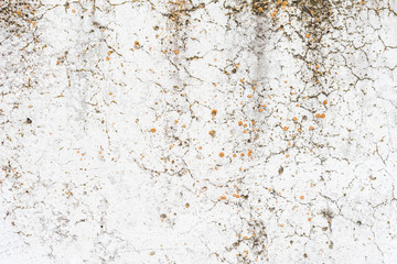 Wall fragment with scratches and cracks