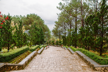Garden plants in the park Prenn. Vietnam