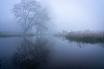 Fototapeta na wymiar Reflections in water on a misty morning 