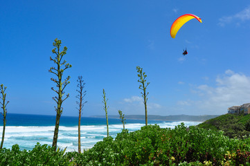 Paragliding over the beach