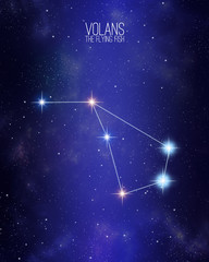 Volans the flying fish constellation map on a starry space background. Stars relative sizes and color shades based on their spectral type.
