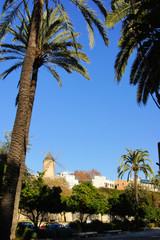 Stadtansicht von palma de mallorca