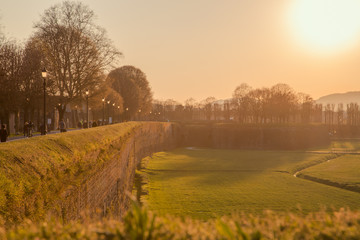 Obraz premium Mura di Lucca e splati