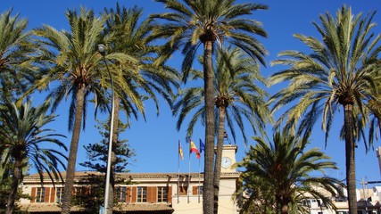 Stadtansicht von palma de mallorca