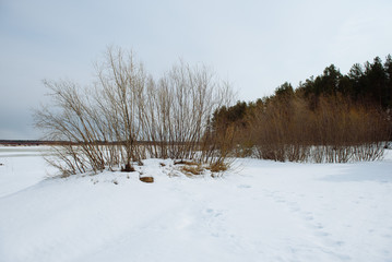 The inset of spring.