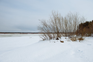 The inset of spring.