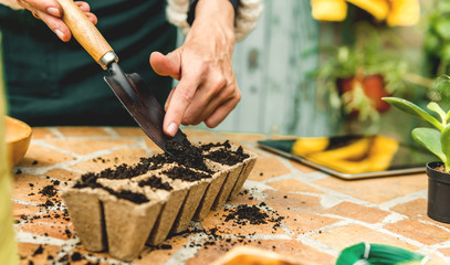 Planting seeds in Biodegradable pots