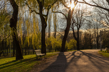 The first symptoms of spring, Aviators Park, Krakow, Poland